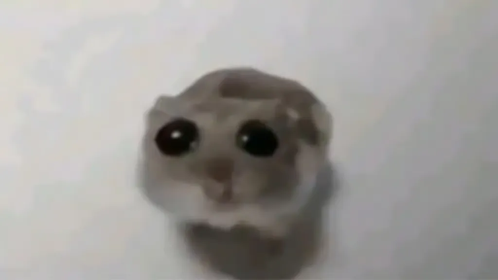 GX.Store - Mod your browser - Sad Hamster
