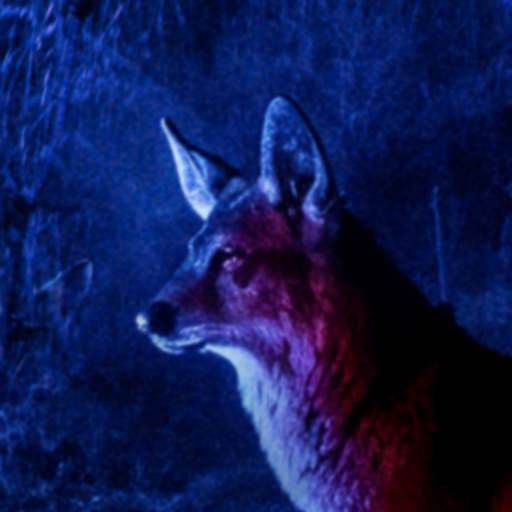 ECHOES OF THE FOREST icon