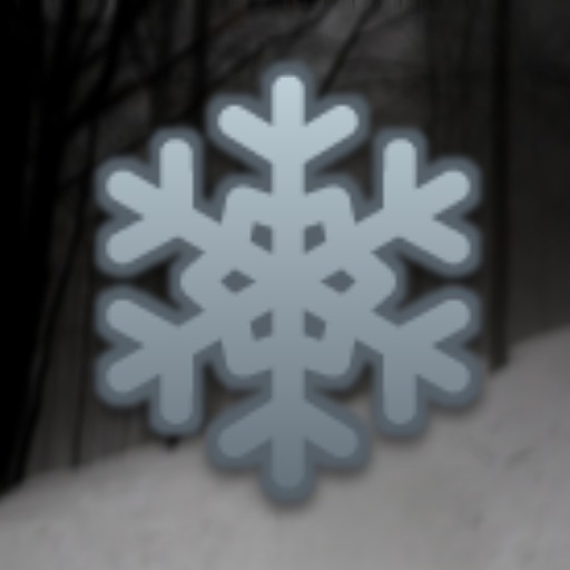 Dark Winter Forest icon